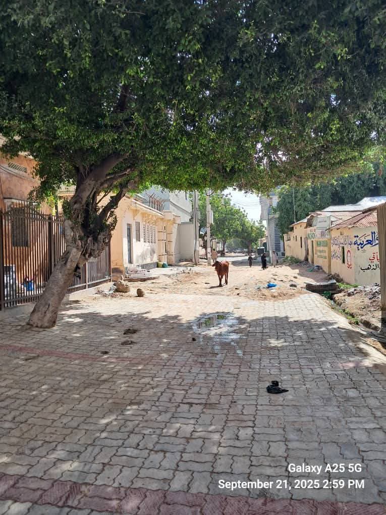 villa iib ah – media 5